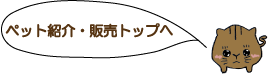 ペットの紹介・販売トップへ