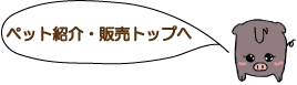 ペットの紹介・販売トップへ