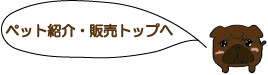 ペットの紹介・販売トップへ